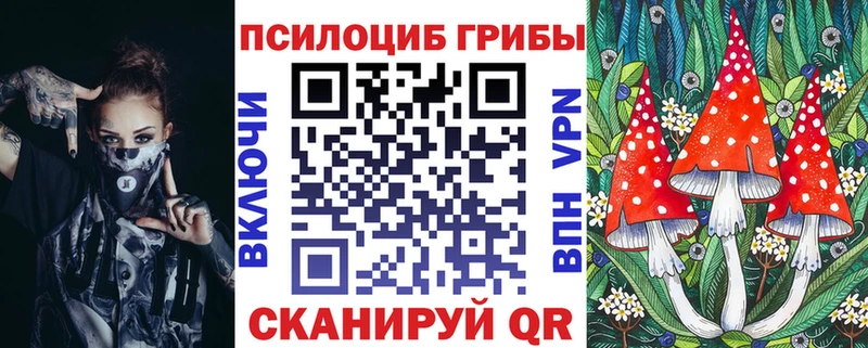 Галлюциногенные грибы Psilocybine cubensis  Лахденпохья 